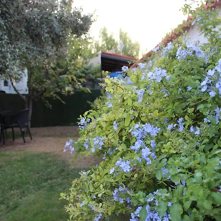 Mina 住宿加早餐酒店